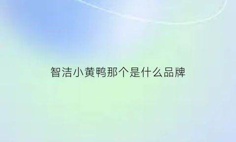 智洁小黄鸭那个是什么品牌