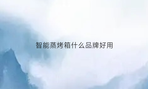 智能蒸烤箱什么品牌好用