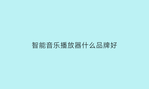 智能音乐播放器什么品牌好