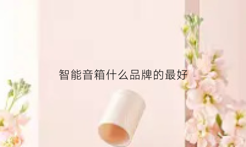 智能音箱什么品牌的最好