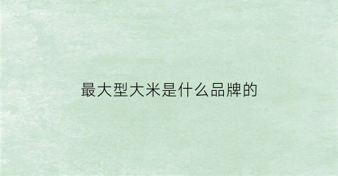 最大型大米是什么品牌的(中国最大米)