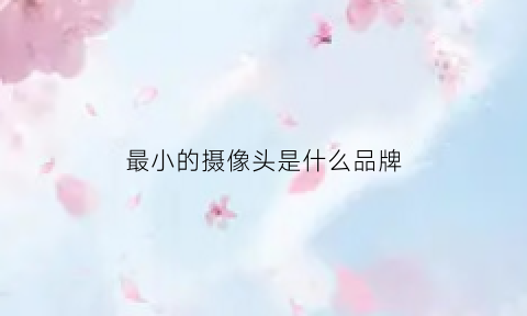 最小的摄像头是什么品牌