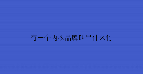 有一个内衣品牌叫品什么竹(品牌的内衣)