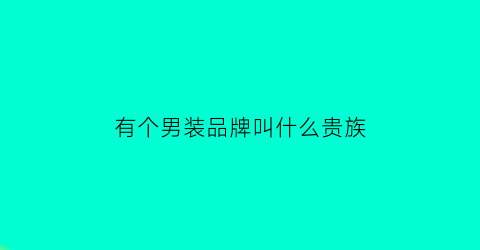 有个男装品牌叫什么贵族(贵族男鞋)