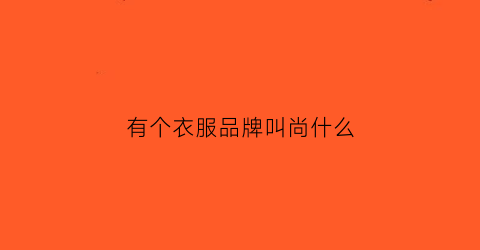 有个衣服品牌叫尚什么(尚衣服饰有限公司)
