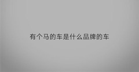 有个马的车是什么品牌的车