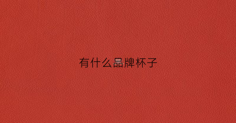 有什么品牌杯子(什么品牌杯子最有名)