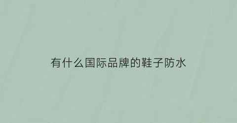 有什么国际品牌的鞋子防水(有什么国际品牌的鞋子防水好)