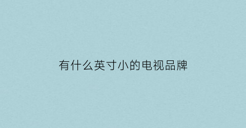 有什么英寸小的电视品牌(有什么英寸小的电视品牌吗)