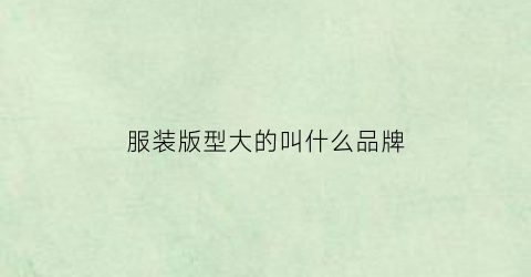服装版型大的叫什么品牌(服装版型大的叫什么品牌男装)