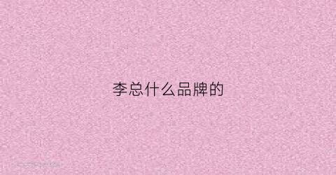 李总什么品牌的(李是啥牌子衣服)