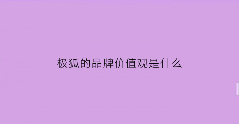 极狐的品牌价值观是什么(极狐品牌商标)