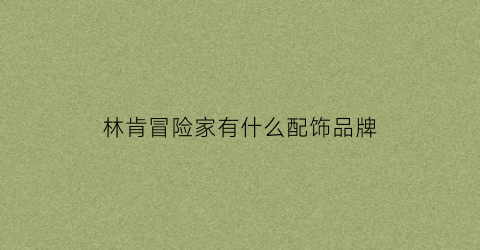 林肯冒险家有什么配饰品牌(林肯冒险家有什么配饰品牌的)