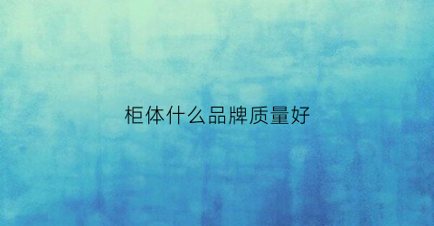 柜体什么品牌质量好(柜体用什么品牌板材最好)