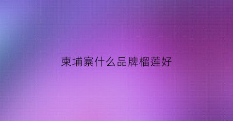 柬埔寨什么品牌榴莲好(柬埔寨的榴莲好吃吗)