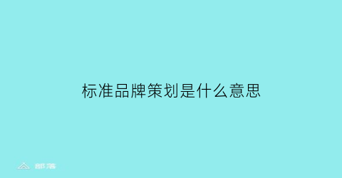 标准品牌策划是什么意思(品牌标准化)