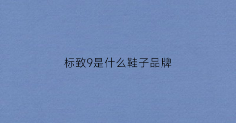 标致9是什么鞋子品牌(标致a94是哪个型号的车)