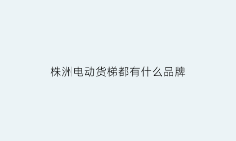 株洲电动货梯都有什么品牌