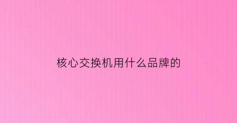 核心交换机用什么品牌的(核心交换机用什么品牌的网线)