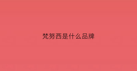 梵努西是什么品牌(梵努西旗舰店)