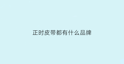 正时皮带都有什么品牌