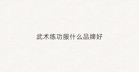 武术练功服什么品牌好(武术练功服男装图片)