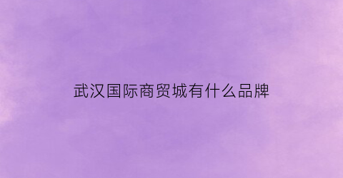 武汉国际商贸城有什么品牌(武汉最大商贸城)