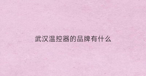 武汉温控器的品牌有什么(武汉温控器厂家)