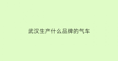 武汉生产什么品牌的气车(武汉生产什么车型)