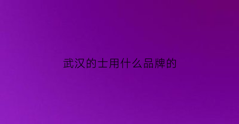 武汉的士用什么品牌的(武汉的士是怎么收费的)