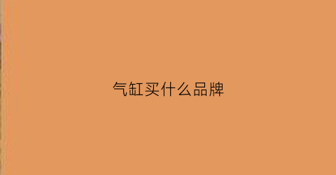 气缸买什么品牌(气缸谁家的好)