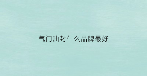 气门油封什么品牌最好(气门油封是什么样的)