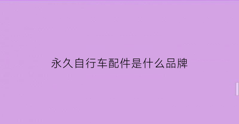 永久自行车配件是什么品牌(永久自行车配件大全)
