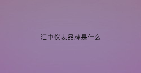 汇中仪表品牌是什么(汇中仪表怎么样)