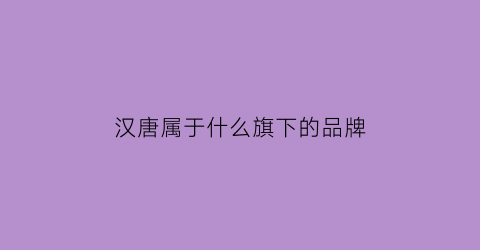 汉唐属于什么旗下的品牌(汉唐厂家)