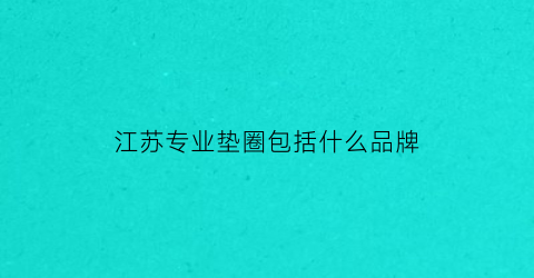 江苏专业垫圈包括什么品牌(江苏地垫厂家)