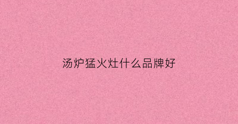 汤炉猛火灶什么品牌好(低汤灶和猛火灶的区别)
