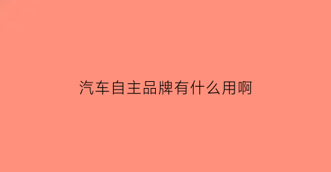 汽车自主品牌有什么用啊(汽车自主品牌有什么用啊)