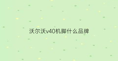沃尔沃v40机脚什么品牌(沃尔沃v40拆解)