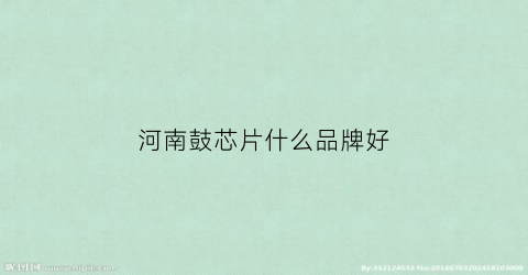 河南鼓芯片什么品牌好(生产鼓芯的厂家)