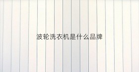 波轮洗衣机是什么品牌(请问什么叫波轮洗衣机)