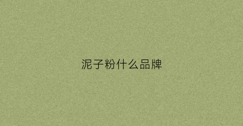 泥子粉什么品牌(泥粉什么意思)
