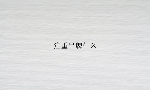 注重品牌什么