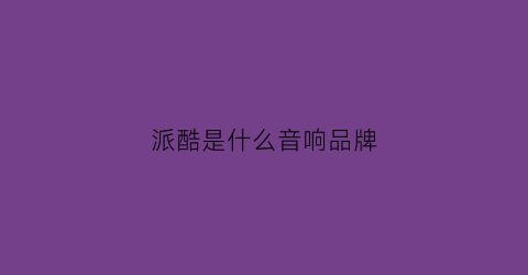 派酷是什么音响品牌(派酷玩具有限公司)