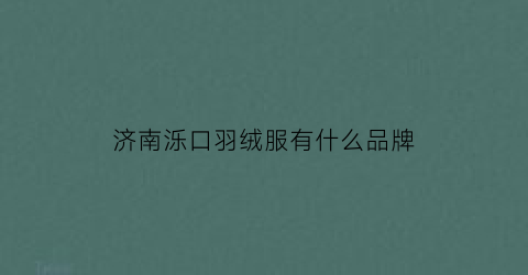 济南泺口羽绒服有什么品牌(济南泺口服装有限公司)