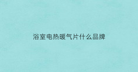 浴室电热暖气片什么品牌(浴室暖气片哪个牌子好)