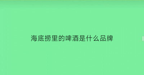 海底捞里的啤酒是什么品牌(海底捞啤酒属于什么啤酒)