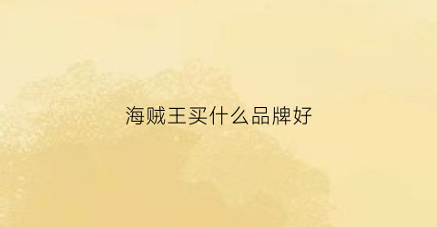 海贼王买什么品牌好(海贼王买什么品牌好用)