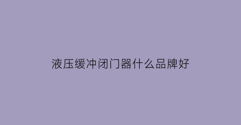 液压缓冲闭门器什么品牌好(液压缓冲闭门器什么品牌好用)