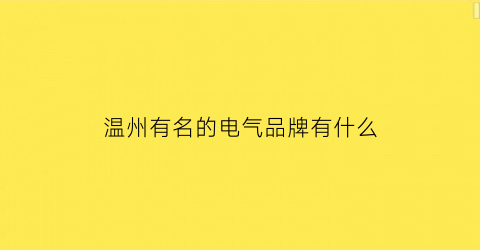 温州有名的电气品牌有什么(温州有什么电器厂)